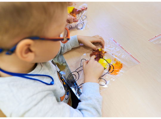 Dzień pluszowego misia