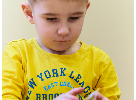 Dzień pluszowego misia